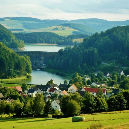 Komfort-Fewo Blickfang Willingen*** 维林根 外观 照片