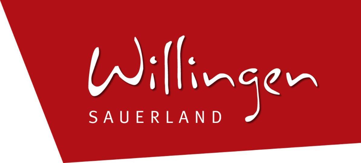Komfort-Fewo Blickfang Willingen*** 维林根 外观 照片