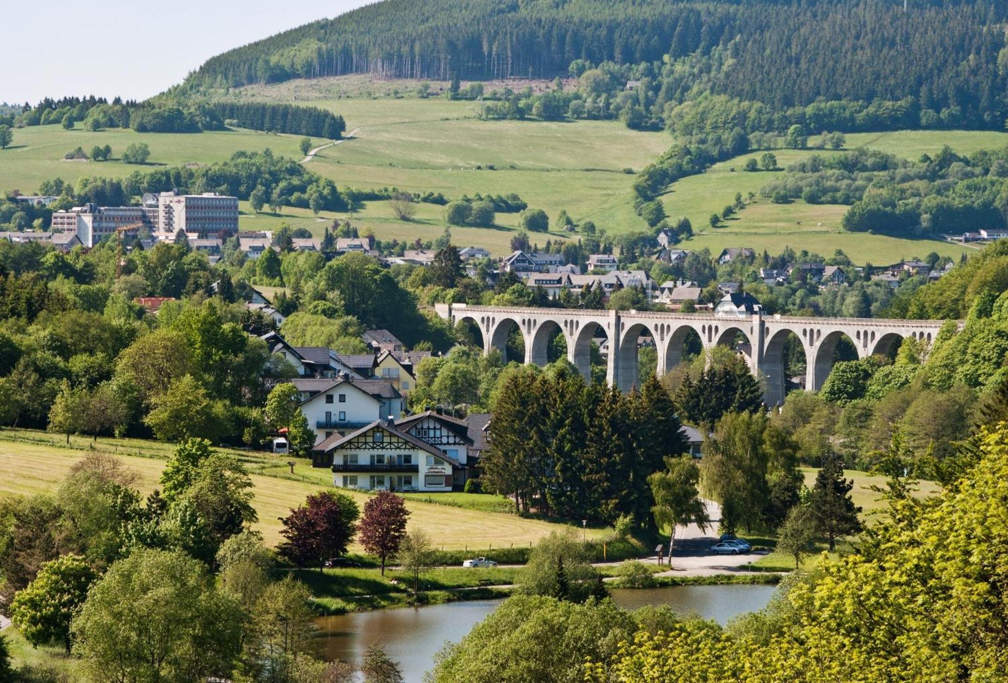 Komfort-Fewo Blickfang Willingen*** 维林根 外观 照片